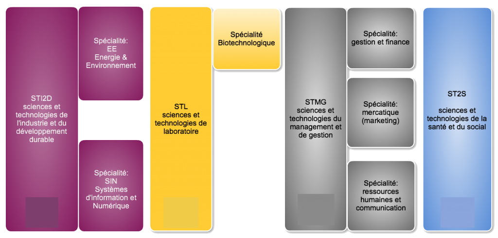 Sections du Bac Technologique - De la classe de première à la classe de terminale